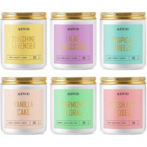 AOOVOO Scented Candles Set - 6 Pack Candles for Women, Lavender/Lilac/Vanilla/Floral/Rose/Breeze, Soy Candle Gifts for Home Scented, 42 oz, 300 Hours Burn Time
