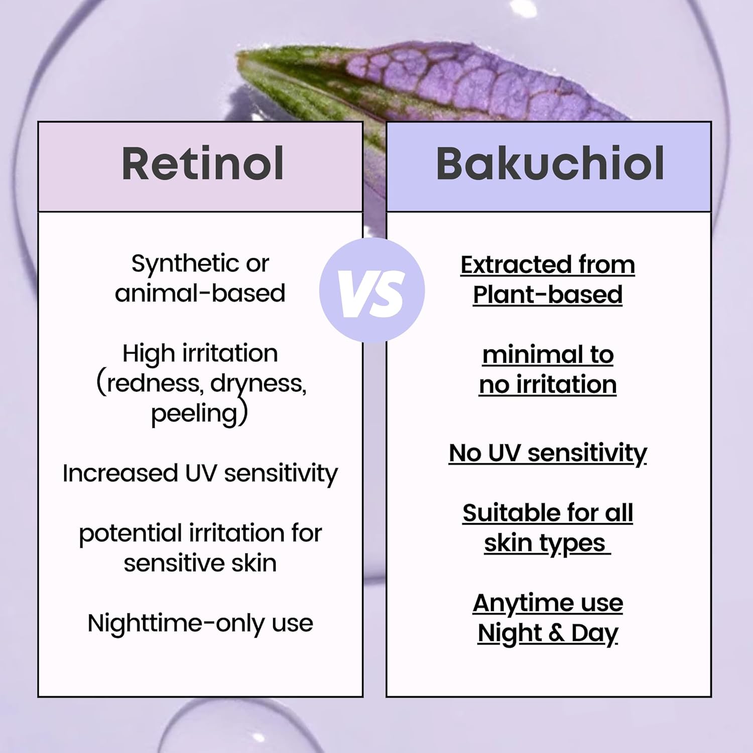Frank Age Defense Bakuchiol Serum Natural Retinol Anti-Aging Vegan Treatment 2.7 fl oz - Image 5