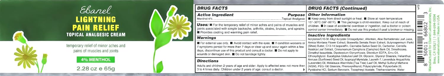 Ebanel Menthol Arnica Pain Relief Gel Cream 4 oz with Hemp and Emu Oils - Image 7