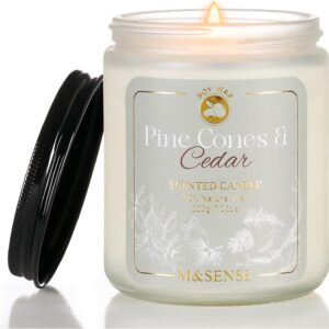 M&SENSE Pine Cone Cedar Scented Candle, 7oz Jar, 40hr Burn Time, Modern Home Fragrance