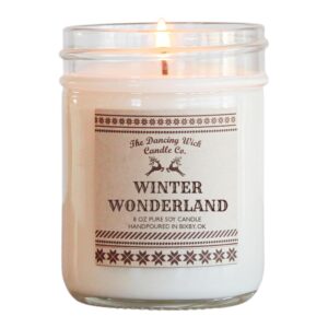 Winter Wonderland Soy Candle – Cinnamon, Clove, Vanilla, Musk, Mulberry, Cassia Root, Eucalyptus, Woods - 8 oz, Hand-Poured, Non-Toxic - Made in USA (Winter Wonderland)