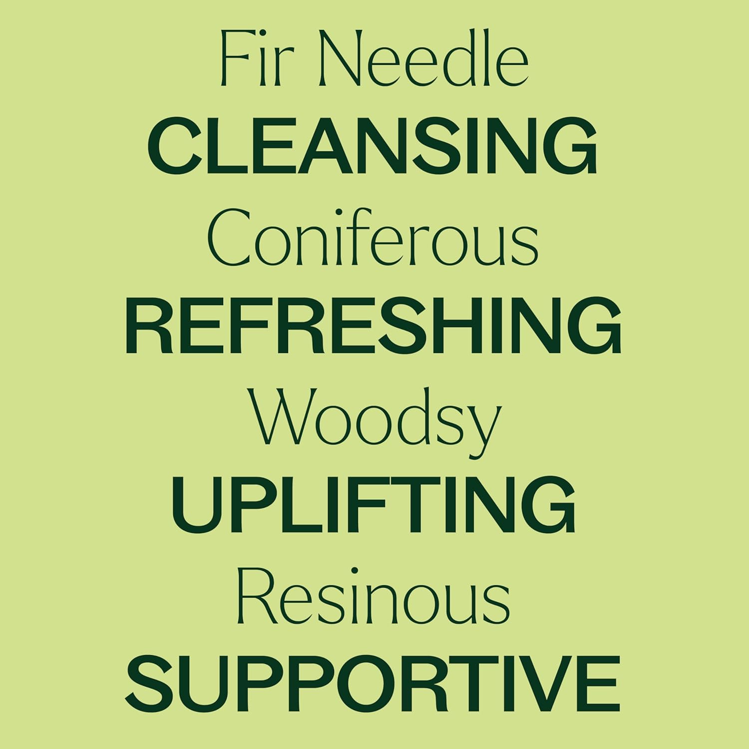 Plant Therapy Fir Needle Essential Oil 10 mL (1/3 oz) 100% Pure, Undiluted, Therapeutic Grade - Image 4