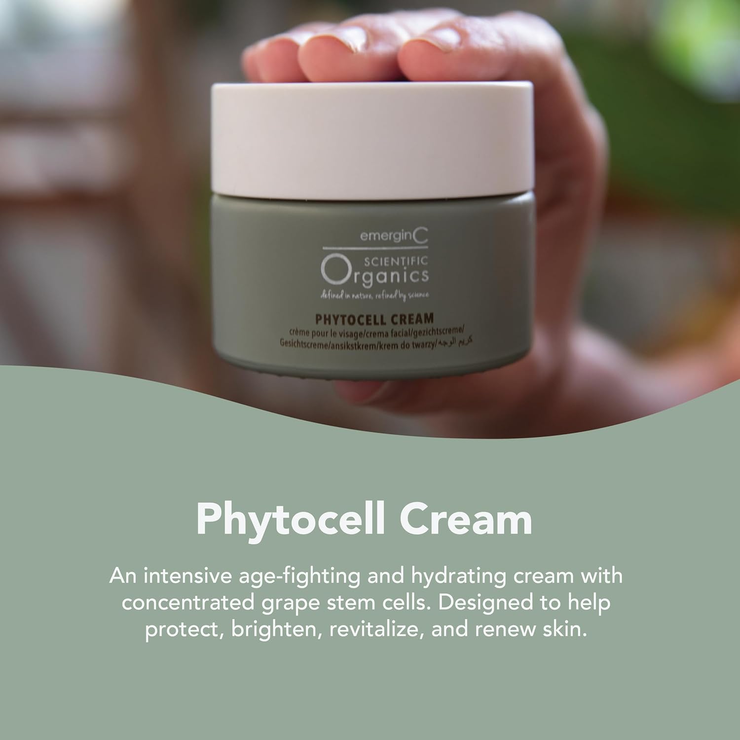 Scientific Organics Phytocell 1.7 oz Anti-Aging Facial Cream with Plant Stem Cells - Image 2