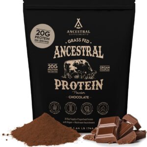 Ancestral Supplements Grass Fed Protein Powder, Chocolate, Beef Bone Broth Based w/Beef Organs & Organic Mushrooms, Gut Health Support, High Protein Supplement, 20g Protein Per Serving, 30 Day Supply