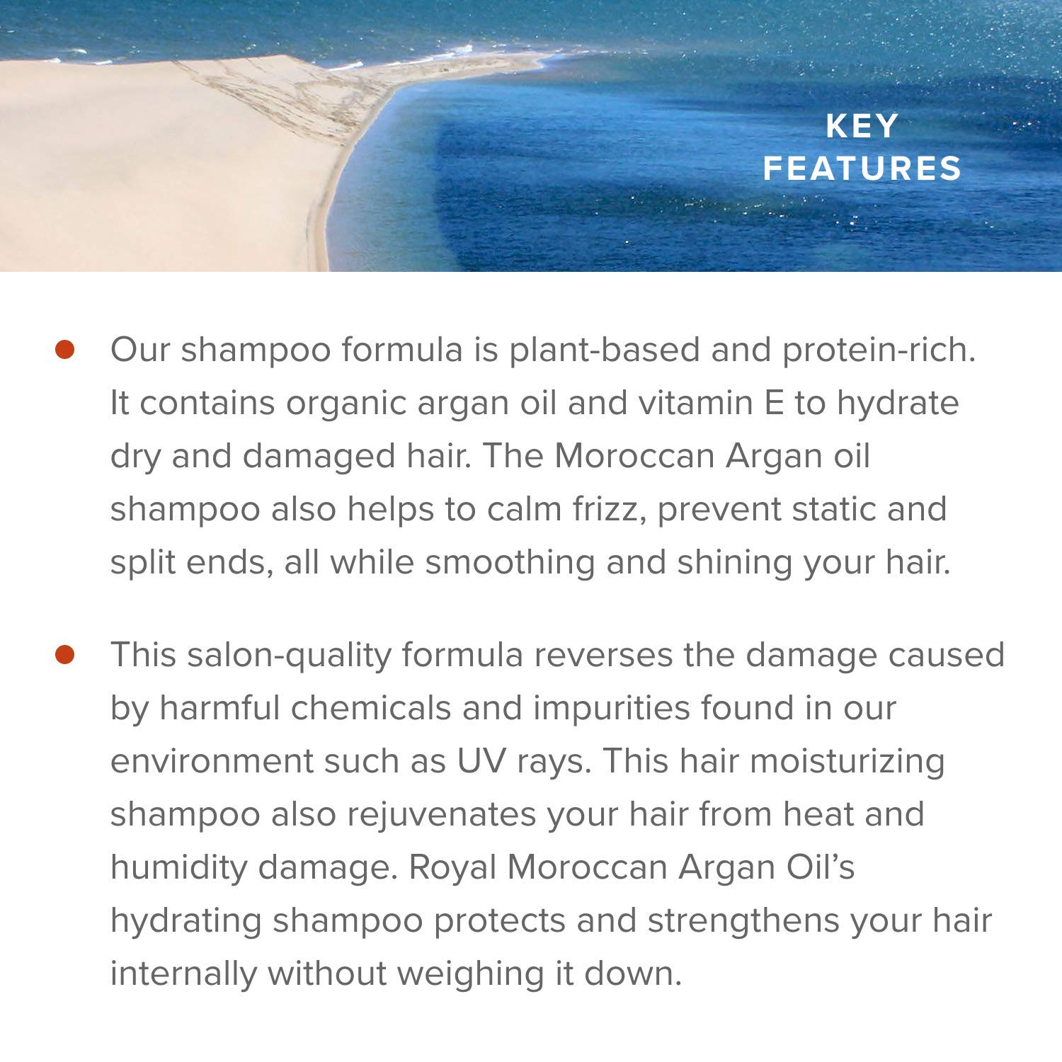 Sulfate-Free Shampoo, 500 ml, 16.9 oz - Image 4