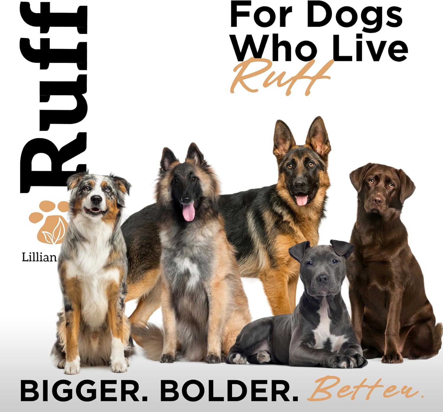RUFF by Lillian Ruff Oatmeal Dog Shampoo | Sandalwood Amber | Professional Dog Shampoo With Aloe & Coconut Oil | Relieves Itching & Hot Spots | Moisturizing & Deodorizing | Safe for Puppies | USA Made - Image 8