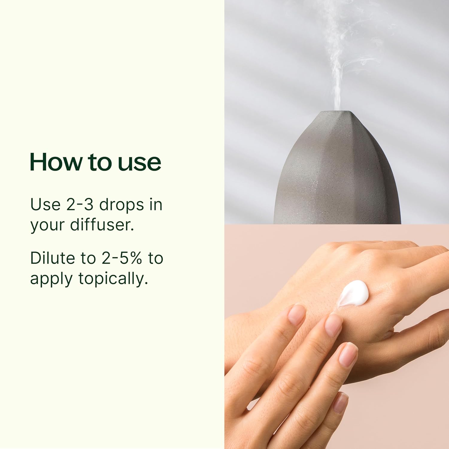 Plant Therapy Fir Needle Essential Oil 10 mL (1/3 oz) 100% Pure, Undiluted, Therapeutic Grade - Image 2