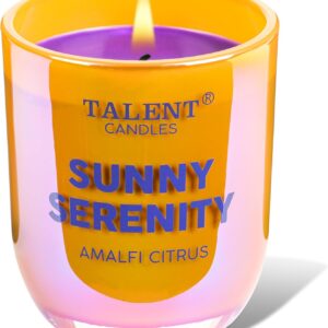 Scented Candles Enjoy Collection of Jar Candles, Natural Soy Aromatherapy Candle, Gift for Women and Men - Amalfi Citrus