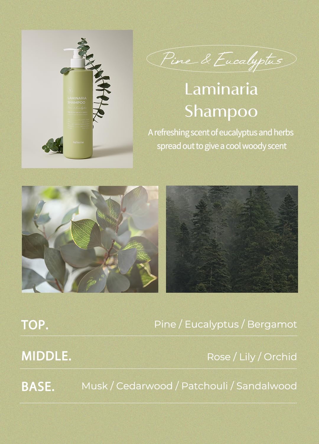 Laminaria Shampoo with Organic Ingredient, Korean Clarifying Shampoo, Hydrating for Dry Hair, Strengthening for Weak Hair, Sulfate & Paraben-Free, for Women & Men,16.9 FL. OZ, Pine Eucalyptus - Image 6
