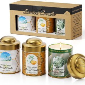 3-Pack Aromatherapy Candle Set - Balsam & Cedar, Sage & Citrus, Coconut & Beach Scented Candles | 4.5oz × 3 (13.5oz Total) | 75+ Hour Total Burn | Natural Soy Candles for Home, Gifts & Christmas