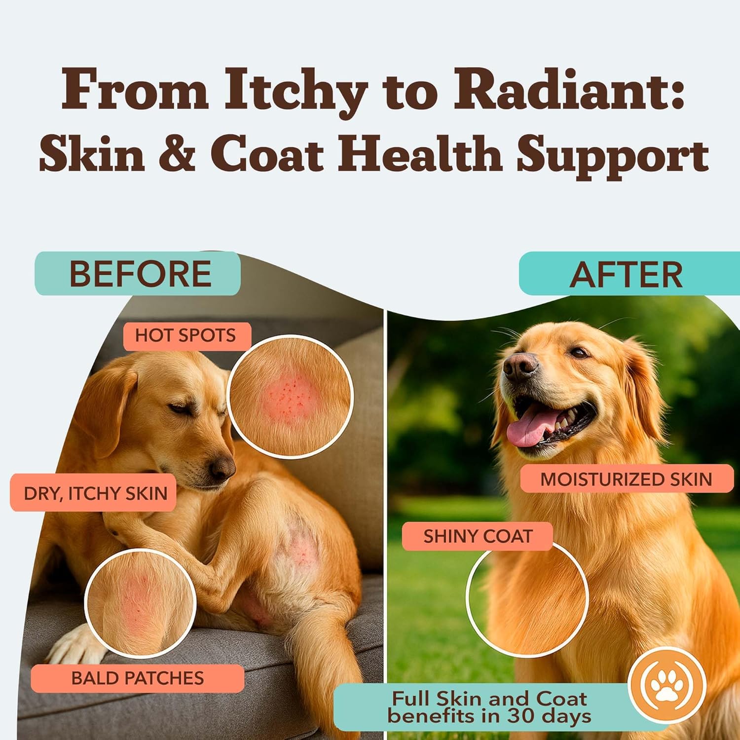 Natural Dog Company Skin & Coat Supplement for Dogs Omega-3 Rich Salmon Oil Chews for Itchy Skin Relief, Shedding & Allergy Support, Shiny Coat Health, with Biotin, Vitamin E, Grain-Free (90 Count) - Image 2