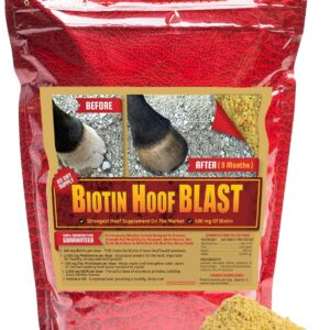 Horse Guard Hoof Supplements for Horses - 80 Servings - Biotin Hoof Blast 10lb Bag with 100mg Biotin per Serving - Concentrated Equine Hoof Health, Strengthener with MSM, Methionine, Zinc