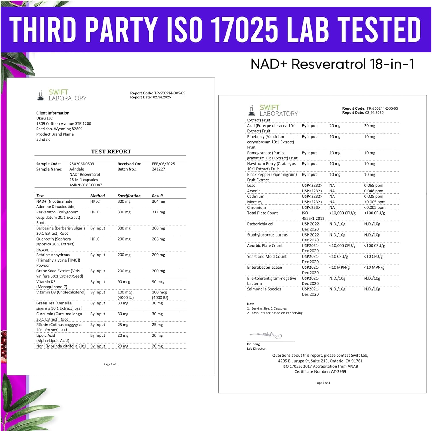 NAD Supplement. Longevity Formula with Liposomal NAD+, Trans Resveratrol, Quercetin, Berberine, Betaine Anhydrous, Grape Seed, Fisetin. NAD Resveratrol Supplement with Berberine 90 Capsules. - Image 5