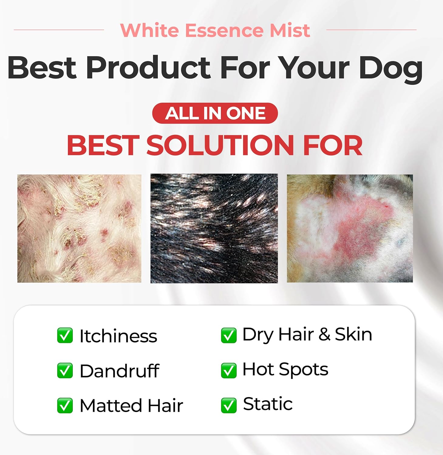 JAYU PET White Essence Mist - Dog Itch Relief, Hypoallergenic Soothing Spray, Dandruff & Dry Skin Spray (5.8fl oz, 170ml) - Image 2