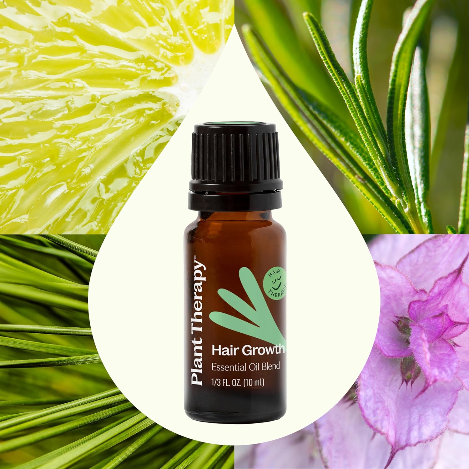 Plant Therapy Hair Therapy Essential Oil Blend 10mL for Hair Strengthening and Repair - Image 3