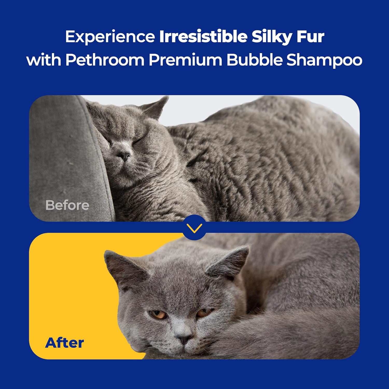 Pethroom Premium 16oz Cat Silky Hypoallergenic Tear-Free Deep-Cleansing Moisturizing Shampoo Conditioner - Image 3
