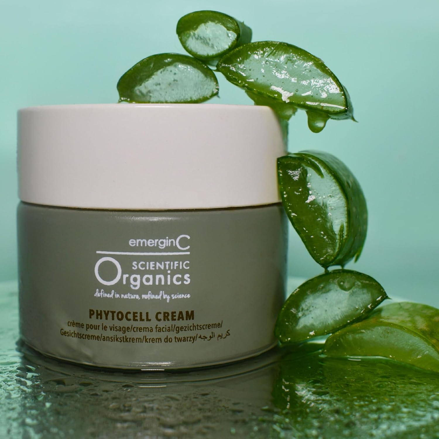 Scientific Organics Phytocell 1.7 oz Anti-Aging Facial Cream with Plant Stem Cells - Image 5