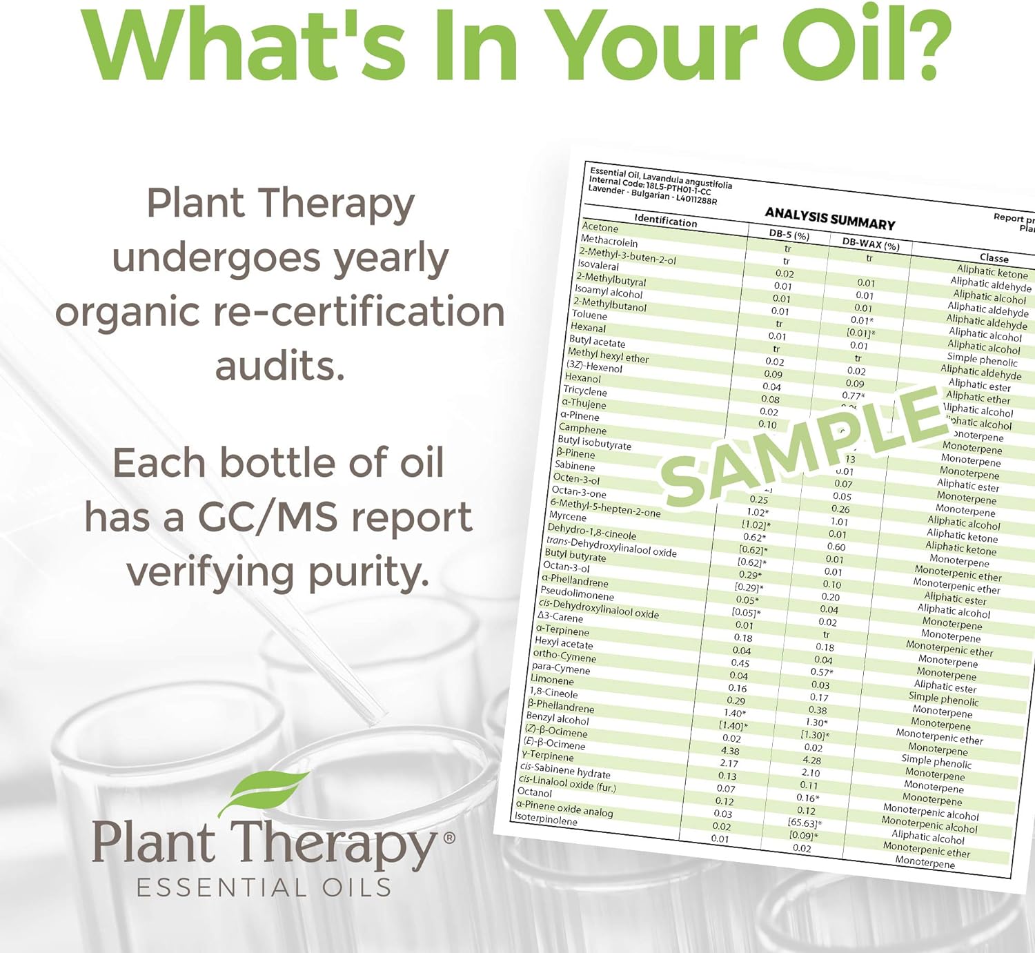 Plant Therapy Organic Tangerine Essential Oil 10 mL 100% Pure Undiluted - Image 4