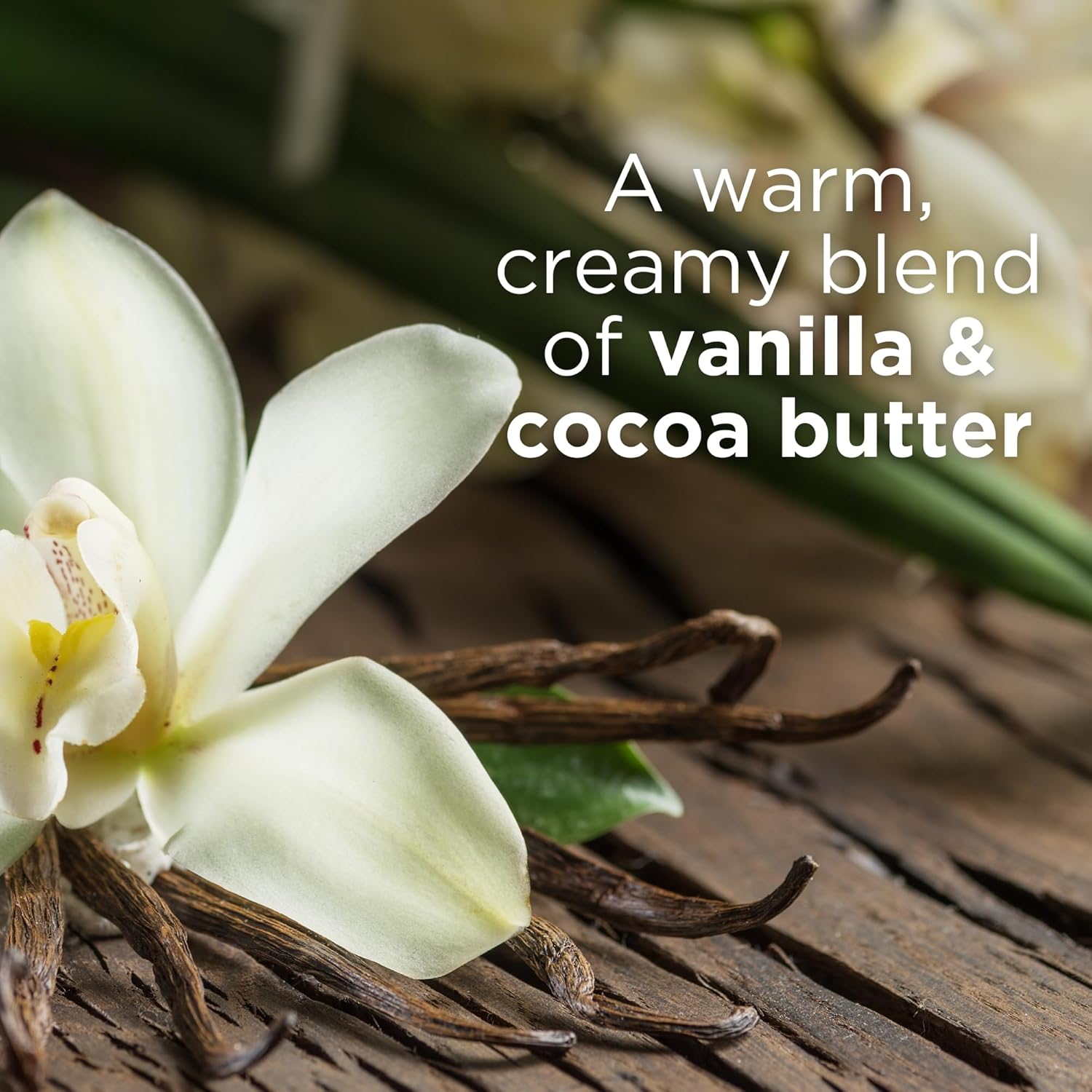 Andalou Naturals Kukui Cocoa 8 Oz Vegan Body Butter Cream with Shea & Argan Oil - Image 4