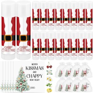 25 Sets Lip Balm Bulk for Christmas Stocking With Wish Card and Organza Bag - Employee Appreciation Gifts, Party Supplies for Girls, Kids, Teacher Team