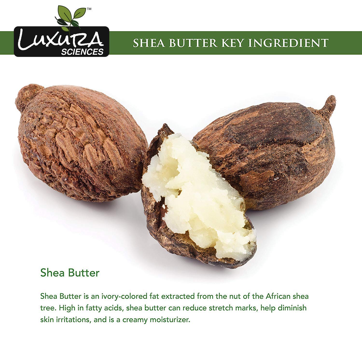 African Shea Butter | 100% Pure & Unrefined Raw Shea Butter for Skin & Hair | Deep Moisturizer for Face, Body & Scalp | Ideal for DIY Lotion, Soap Making & Lip Balm | 7.05 Oz (200g) - Image 8