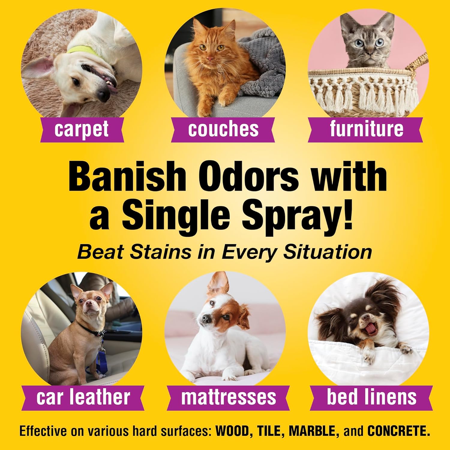 Enzymatic Pet Carpet Cleaner and Urine Odor Eliminator 128oz Spray for Cats and Dogs - Image 6