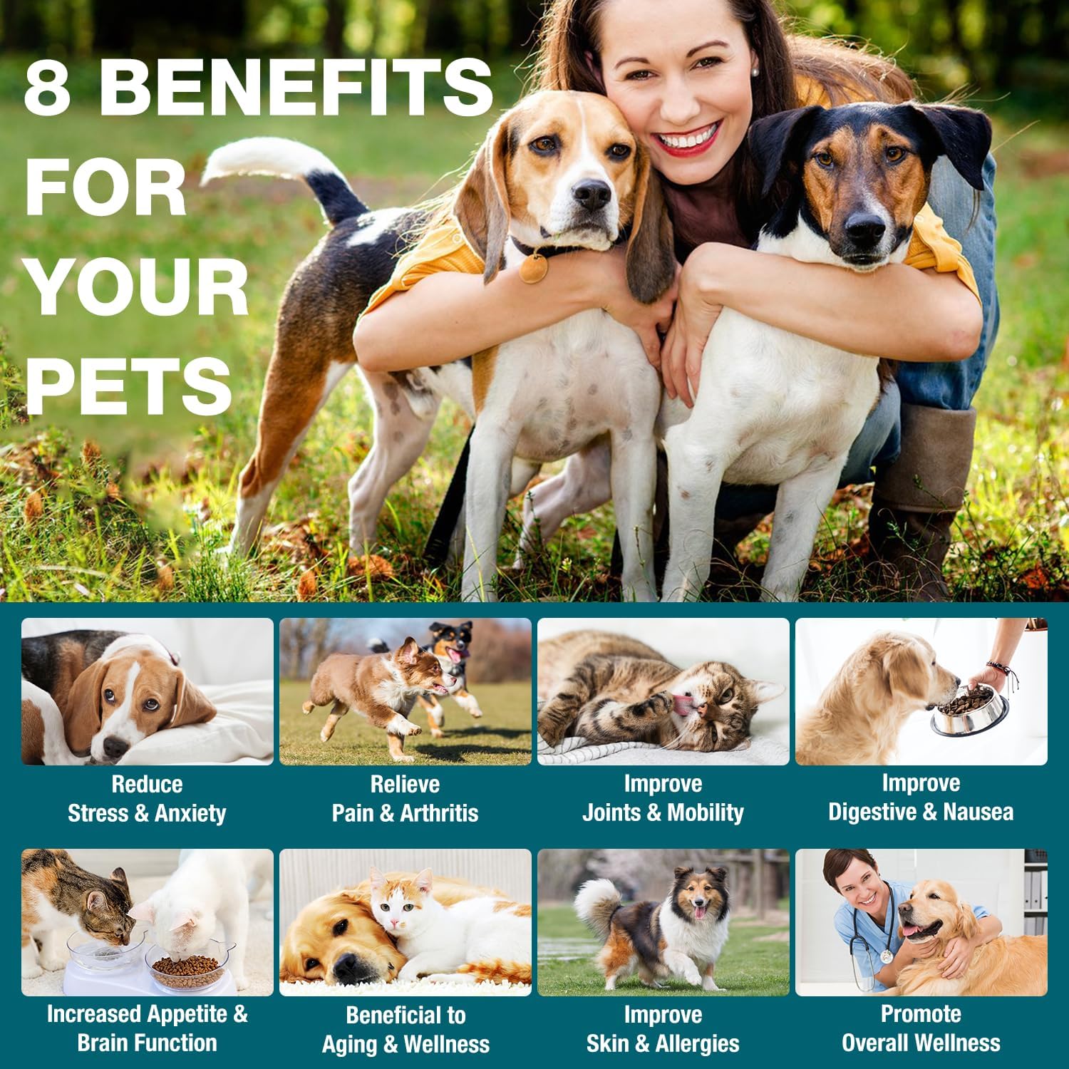 3 Pack Organic Pet Hemp Oil Natural Calming for Dog Cat Anxiety Pain Relief - Image 2