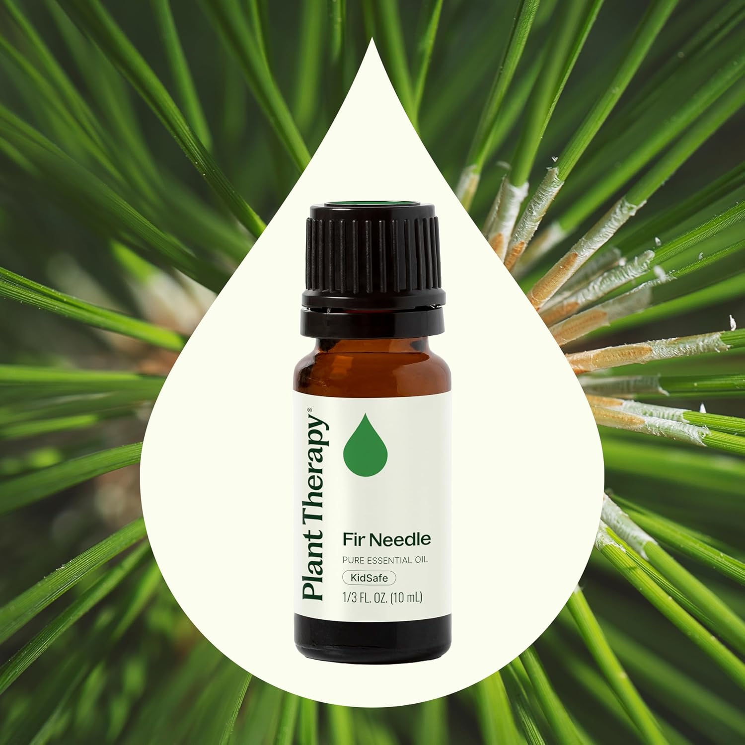 Plant Therapy Fir Needle Essential Oil 10 mL (1/3 oz) 100% Pure, Undiluted, Therapeutic Grade - Image 3