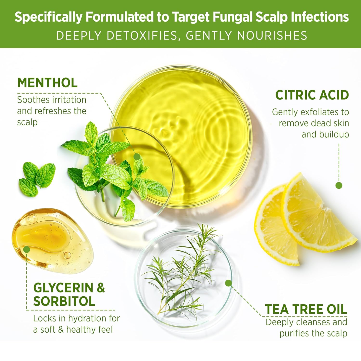 Roycederm Tea Tree Scalp Scrub 8 oz Dandruff Relief Anti Fungal Pre Shampoo Treatment - Image 3
