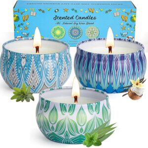 Candle for Women Gift Set, Clearance Candles for Home Scented, 3 Pack Small Candles for Gifts Aromatherapy Candle Set for Women for Ideal Gifts for Birthdays, Anniversaries, Mother's Day