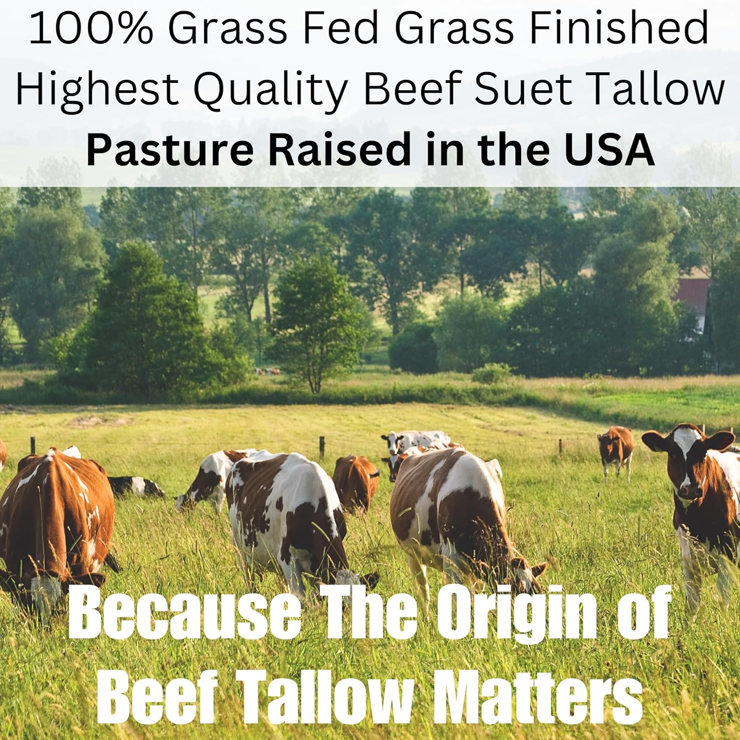 2oz Whipped Beef Tallow Moisturizer, 100% Grass Fed Organic Body Butter, Unscented - Image 9