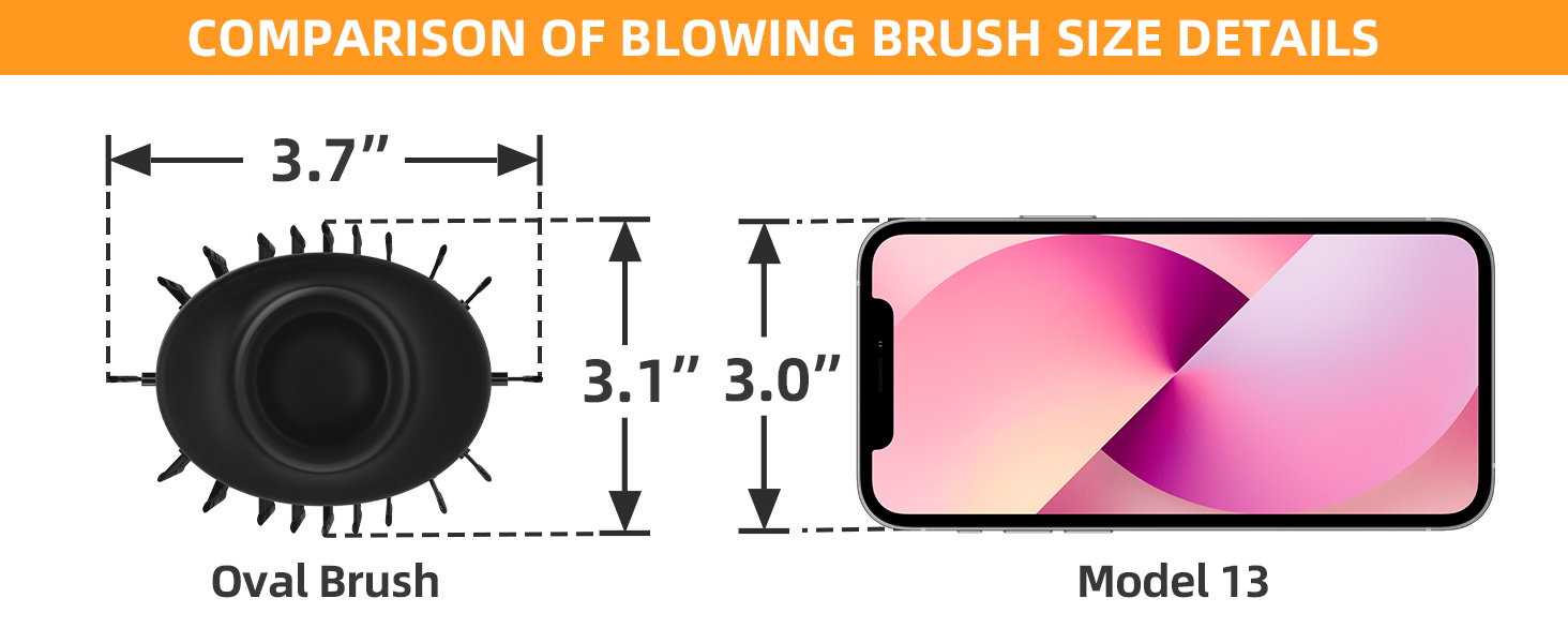 Dual Voltage Oval Brush Head Size