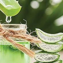 Organic Aloe