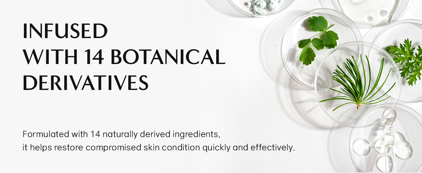 Ingredients visual highlighting 14 botanical extracts used in Celonia Signature Bio Cream