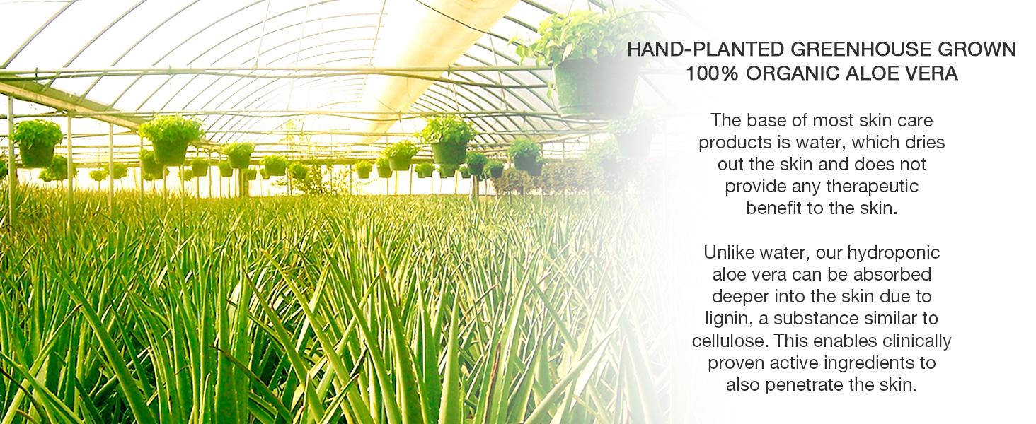 aloe organic