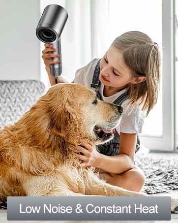 hairdryer ionic hair dryer hair dryers for women