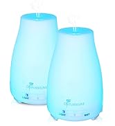 diffuser