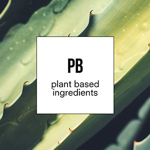Plant Based Ingredients