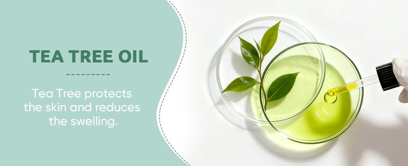 Tea Tree Oil