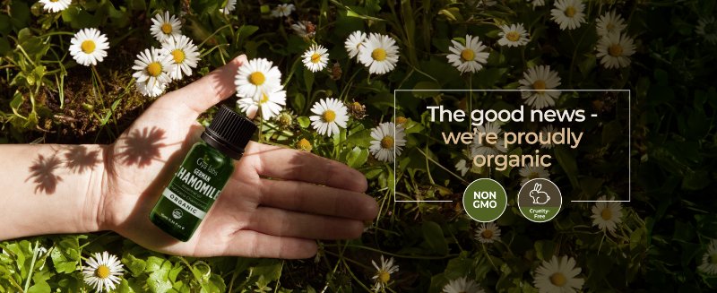 chamomile essential oil chamomile oil german chamomile essential oil german chamomile