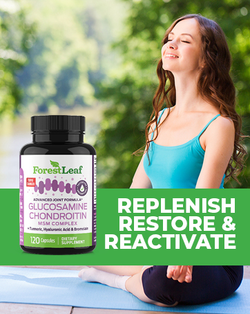 Glucosamine Chondroitin
