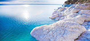 TREASURES FROM THE DEAD SEA