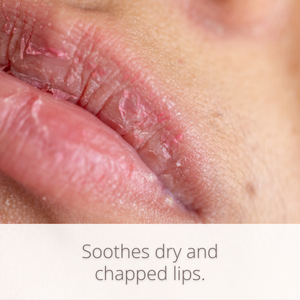 hanalei kukui oil lip balm soothes dry and chapped lips