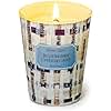 HomeLights Scented Candles for Women & Men, 6.7oz Candle Jars Aromatherapy Single Wick Candle, Ideal for Rustic Modern Home Decor and Gifts, Blueberry Cheesecake