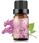 Sedbuwza Lilac Essentail Oil 10ML, Premium Lilac Fragrance Oil for Diffuser Soap Candle Perfume S...