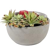 ScentSationals Wax Warmer Boho Collection, Scented Wax Cube Melter, Electric Fragrance and Oil Bu...