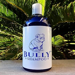 Bully Shampoo