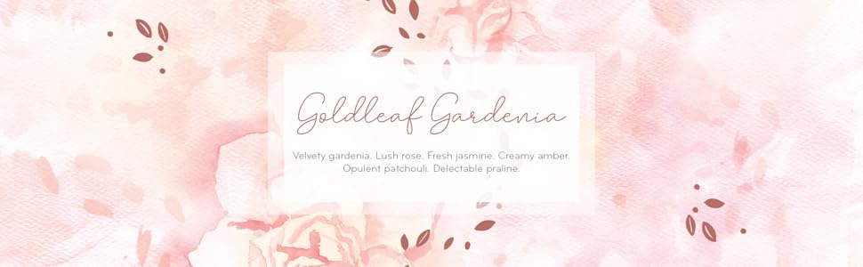 Goldleaf Gardenia