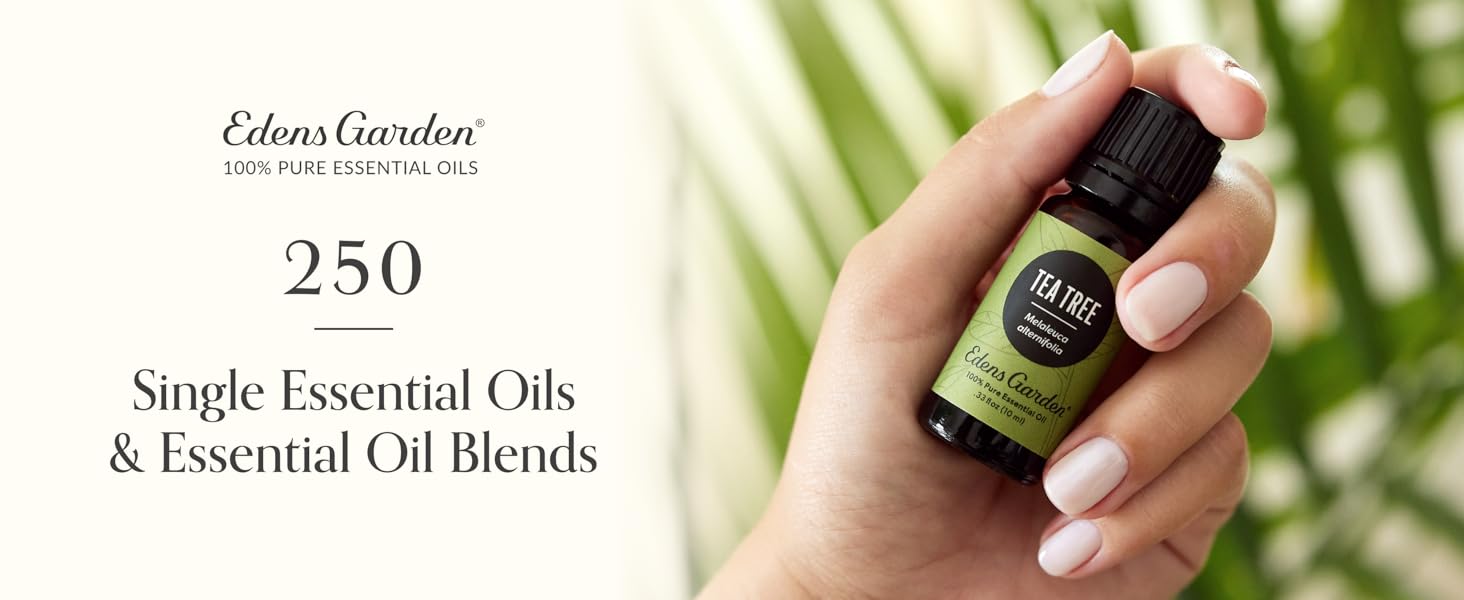 aromatherapy oils essential oil oils diffusers skin organic frankincense lavender pure rosemary