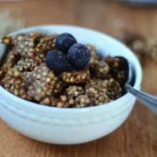 psyllium husk